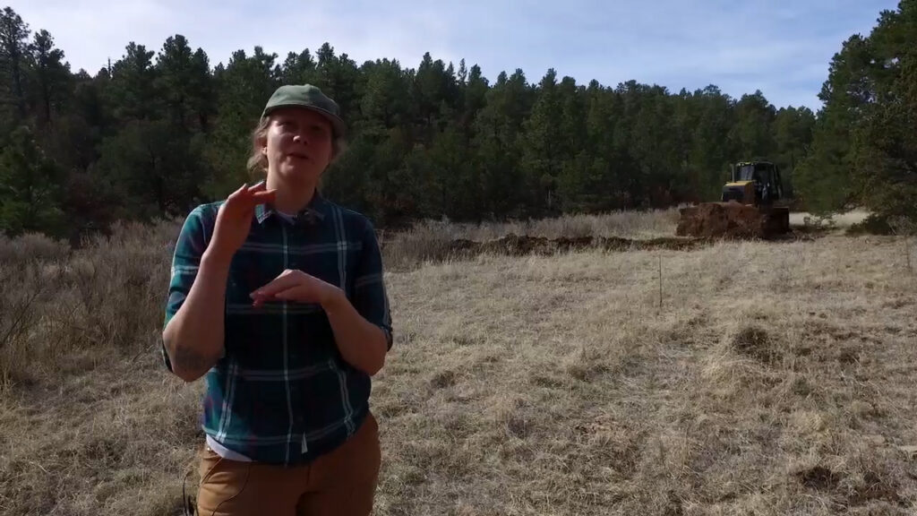 Megan Larsen Alluvial Fan Explains