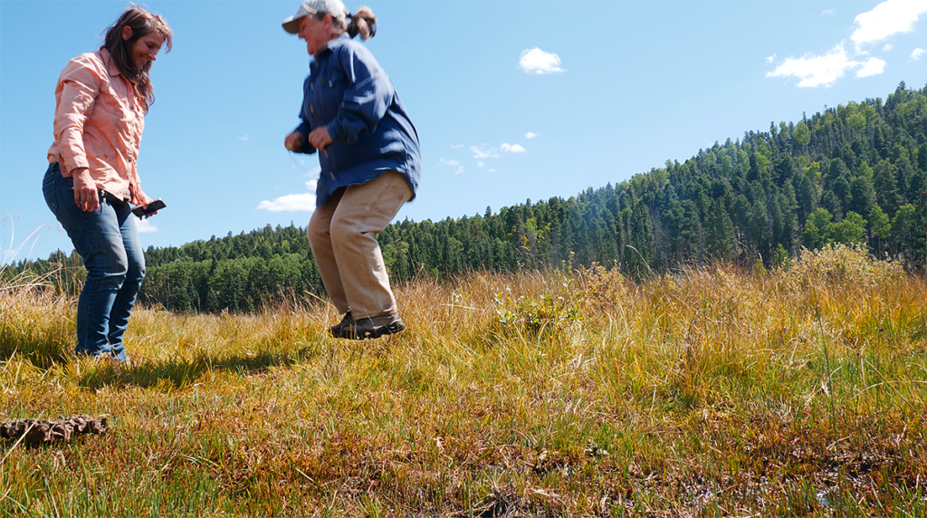 Fen Jumping